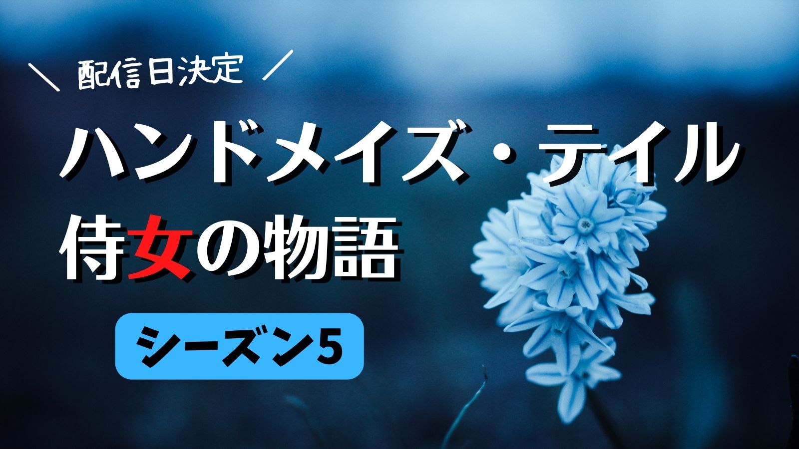 予告動画 Hulu独占配信日決定 ハンドメイズ テイル 侍女の物語 シーズン5 今日もひとりで井戸端会議